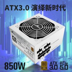 长城(Great Wall)额定850W X8白色金牌全模 额定850W全模组